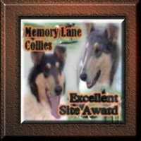Memory Lane Collies