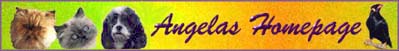 Angelas Homepage
