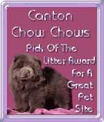 Canton Chow Chow Award