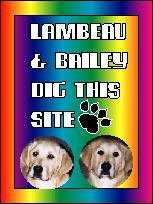 Lambeau & Bailey