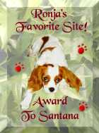 Ronja's Favorite Site Award